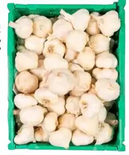 Cash Ifa Ajo blanco Yumbo oferta