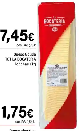 Cash Ifa TGT LA BOCATERIA Queso Gouda lonchas oferta