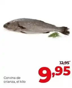 Alimerka Corvina de crianza oferta