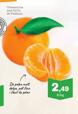 TOP Cash & Carry Clementina amb fulla de València oferta