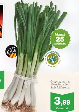 TOP Cash & Carry Calçots, manat 25 unitats del Baix Llobregat oferta