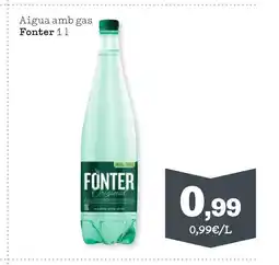 TOP Cash & Carry FONTER Aigua amb gas oferta