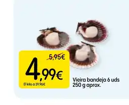 Dialprix Vieira bandeja 6 uds oferta