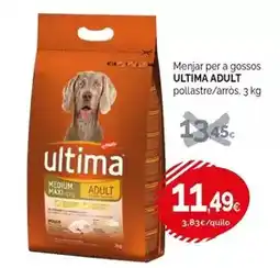 Condis Última - menjar per a gossos oferta