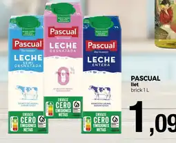 Keisy PASCUAL llet brick oferta