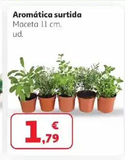 Alcampo Aromática surtida oferta
