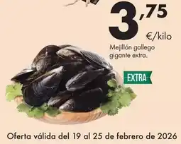 Supermercados Lupa Mejillón gallego gigante extra oferta