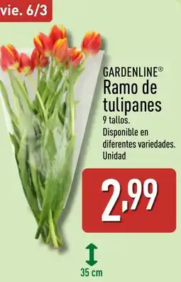 ALDI GARDENLINE Ramo de tulipanes oferta