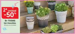 Carrefour En todas las macetas. oferta