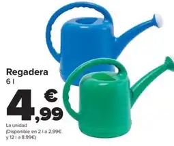 Carrefour Regadera oferta