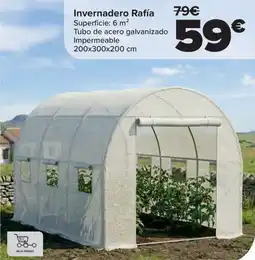 Carrefour Invernadero Rafía oferta