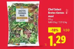 Lidl Chef Select Brotes tiernos maxi oferta