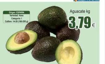 FROIZ Aguacate oferta