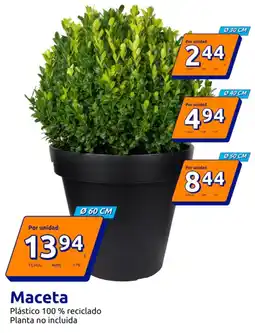 Action Maceta oferta