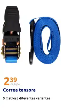 Action Correa tensora oferta