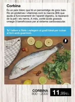 Plusfresc Corbina oferta