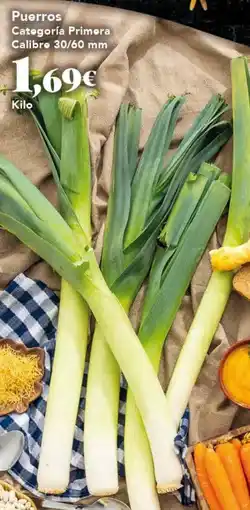 Gadis Categoría Primora Calibre 30/60 mm oferta