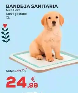 Kiwoko Nice care - bandeja sanitaria oferta