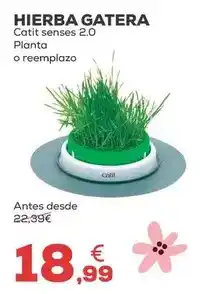 Kiwoko Catit - hierba gatera oferta
