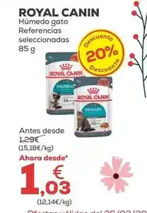 Kiwoko Royal canin - húmedo gato oferta