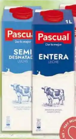 Gadis PASCUAL Leche Entera o semidenatada oferta