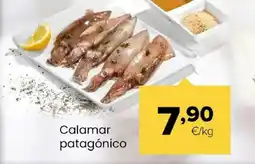 Autoservicios Familia Calamar patagónico oferta