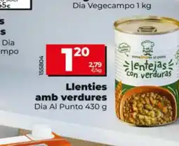 Dia DIA AL PUNTO Llenties amb verdures oferta