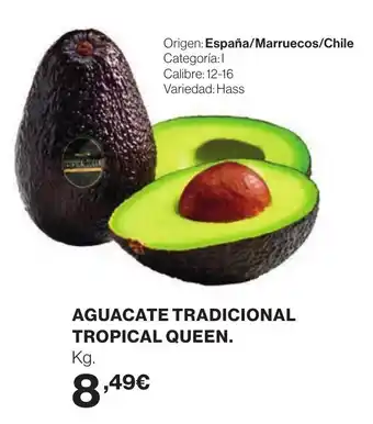 Aguacate tradicional tropical queen