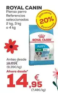 Kiwoko Royal canin - pienso perro oferta