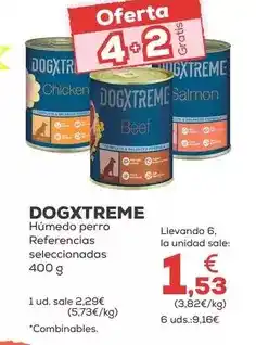 Kiwoko Dogxtreme - húmedo perro oferta
