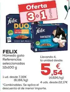 Kiwoko Felix - húmedo gato oferta
