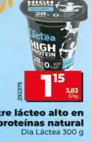 Dia Dia lactea - postre lacteo alto en proteinas natural oferta