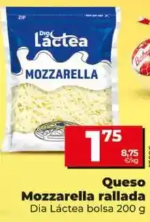 Dia Dia lactea - queso mozzarella rallada oferta