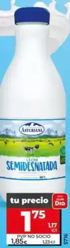 Dia Asturiana - leche semidesnatada oferta