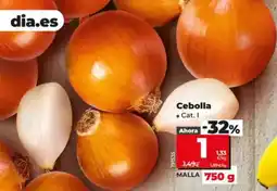 Dia Cebolla oferta