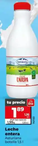 Dia Asturiana - leche entera oferta