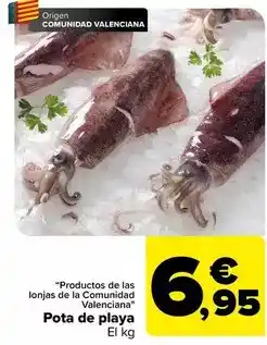 Carrefour Origen - pota de playa oferta
