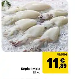 Carrefour Market Sepia limpia oferta