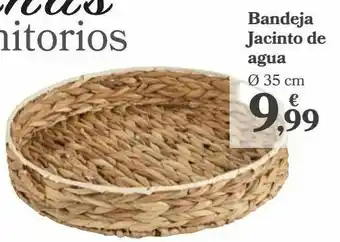 Carrefour Bandeja jacinto de agua oferta