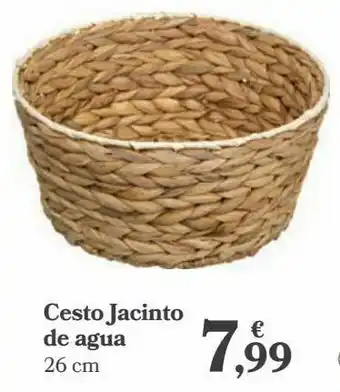 Carrefour Cesto jacinto de agua oferta