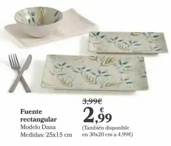 Carrefour Fuente rectangular oferta