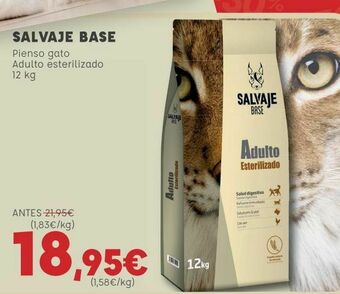Kiwoko Salvaje base pienso gato adulto esterilizado oferta