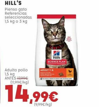 Kiwoko Hill's pienso gato oferta