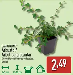 ALDI GARDENLINE Arbusto / Árbol para plantar oferta