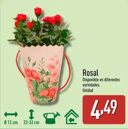 ALDI Rosal oferta