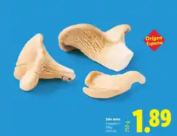 Lidl Seta ostra oferta