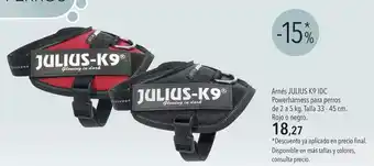 Idc - anté julius k9