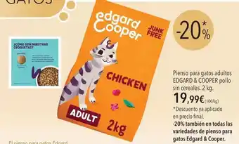 Free - pienso para gatos adultos pollo sin cereales