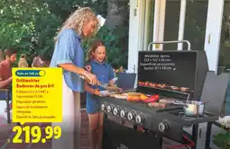 Lidl Grillmeister Barbacoa de gas 6+1 oferta