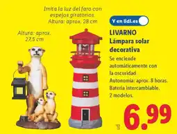 Lidl LIVARNO Lámpara solar decorativa oferta